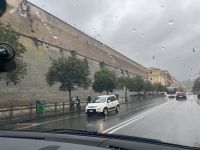ROM- Besuch Vatikanischen Garten und Museen - Viale Vaticano