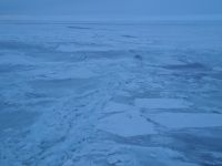 Eiskreuzfahrt über den Bottnischen Meerbusen von Vaasa nach Umeå (Packeis)