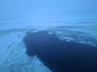 Eiskreuzfahrt über den Bottnischen Meerbusen von Vaasa nach Umeå (Packeis)