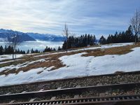 Blick zum Vierwaldstätter See