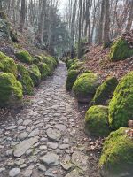 Die veränderte hohle Gasse