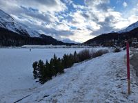 Blick auf den St. Moritz See