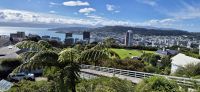 132 Ausblick vom Botanischen Garten auf Wellington
