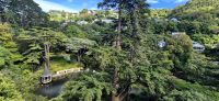 134 Botanischer Garten Wellington