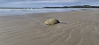 197 Moeraki Boulders