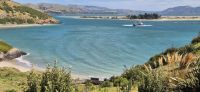 208 Otago Bay