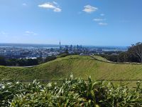 Blick vom Mount Eden auf Auckland 