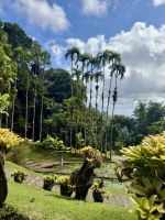 Eine wunderschöne Anlage