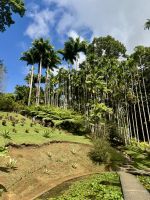 Jardin de Balata