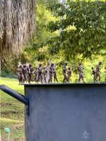 Ein Garten voller Kunst bei Clément