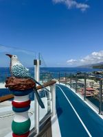 Haustiere auch an Bord