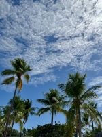 Abreisetag - Ausflug zur Isla Catalina