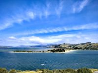 Die Bucht von Otago sieht paradiesisch aus