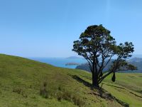 Manaia Road Saddle Lookout