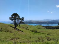 Manaia Road Saddle Lookout