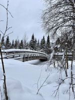 Syöte National Park, Finnland