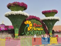Dubai Miracle Garden