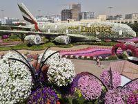 Miracle Garden