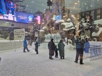 Skihalle in der Mall of the Emirates