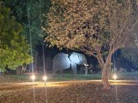 Pakuba Safari Lodge - Elefantenbesuch am Abend