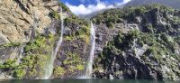 239 Milford Sound