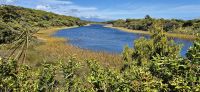 278 Strandspaziergang zur Tasmanischen See