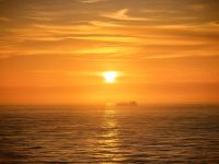 Sonnenaufgang bei Napier