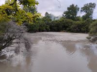 Kuirau Park, Rotorua 