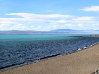 Strand am Lago Argentino in Calafate