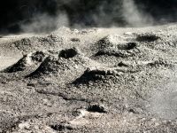 Geothermalfeld, Te Puia