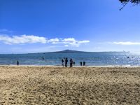 Strand von Auckland