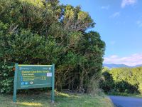 Kleine Wanderung auf dem Queen Charlotte Track 