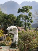 Vietnam. Kunst im Garten