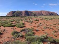 erster Blick auf den Uluru