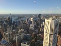 Blick vom Sky Tower auf Sydney