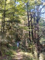 Wanderung zu den Natural Flames 