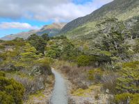 Alpiner Natur Walk am Lewis Pass 