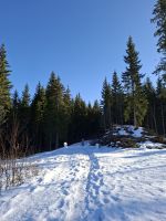 Jämsä - Himos Center (Winter-Wanderung)