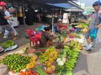 Vietnam. Markt in Chau Doc 