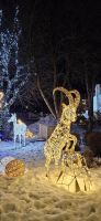 Festlich beleuchtetes Seefeld