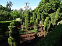 Funchal - Botanischer Garten