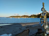 An der Halfmoonbay, Stewart Island 