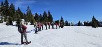 Schneeschuhwanderung zur Hämmermoosalm