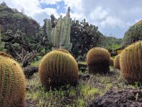 0304 Botanischer Garten