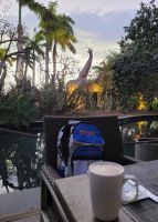 0801 bereit zur Heimreise