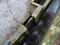 Levada Wanderung - offizielle Wasserentnahme