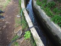 Levada Wanderung mit illegaler Wasserentnahme