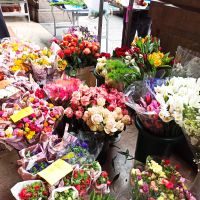 Florenz: Rundgang mit Annett