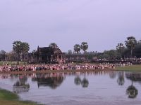 Wir sind nicht allein.