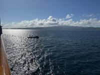 an Bord der MS Westerdam